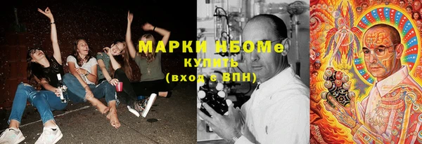 шишки Богданович